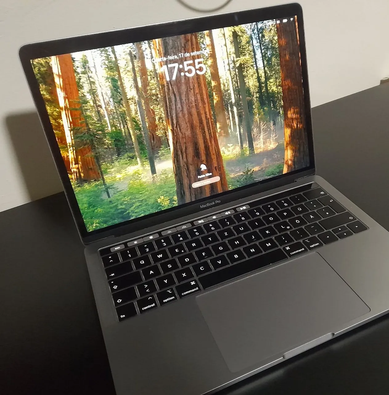 MacBook Pro 13-inch 2019 TT3 8GB/256GB