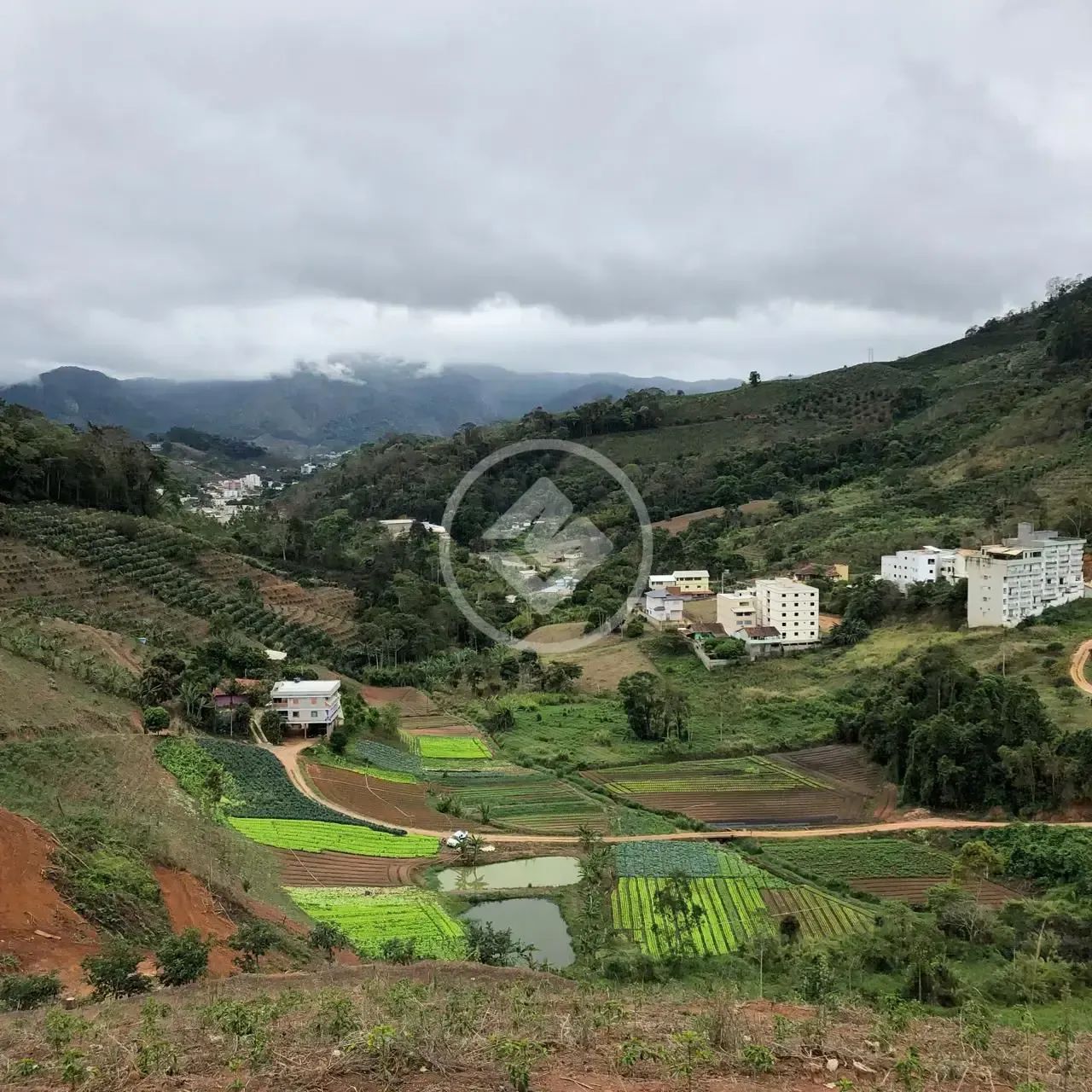 Fazenda de Café - Área para loteamento codigo: 123662