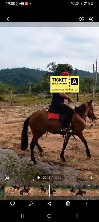 Egua mansa ideal pra criança  