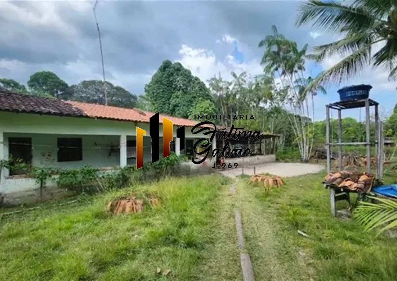 Vendo Sítio com Igarapé na Estrada de Mosqueiro - Foto 2