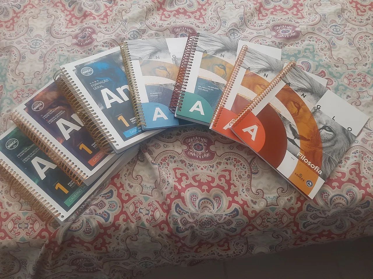 Módulos Anglo 1° Ano ensino médio 