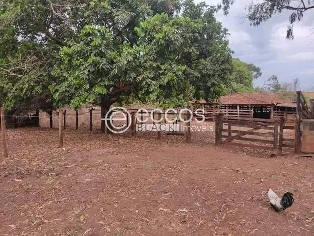 Fazenda à venda, 4 quartos, Miraporanga - Uberlândia/MG
