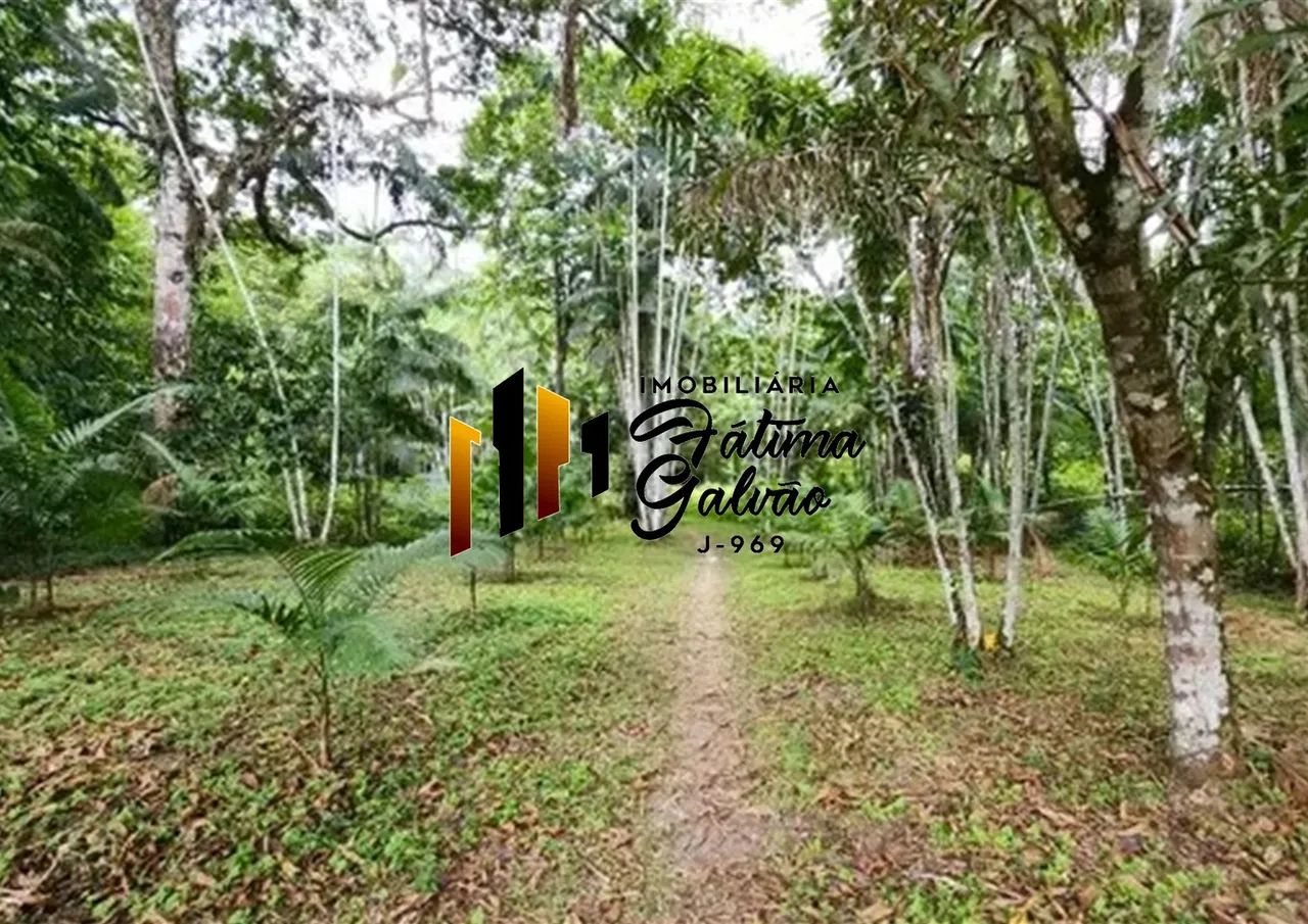Vendo Sítio com Igarapé na Estrada de Mosqueiro - Foto 4
