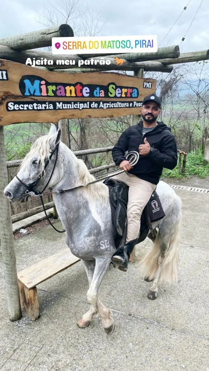 Vendo cavalo mangalarga.