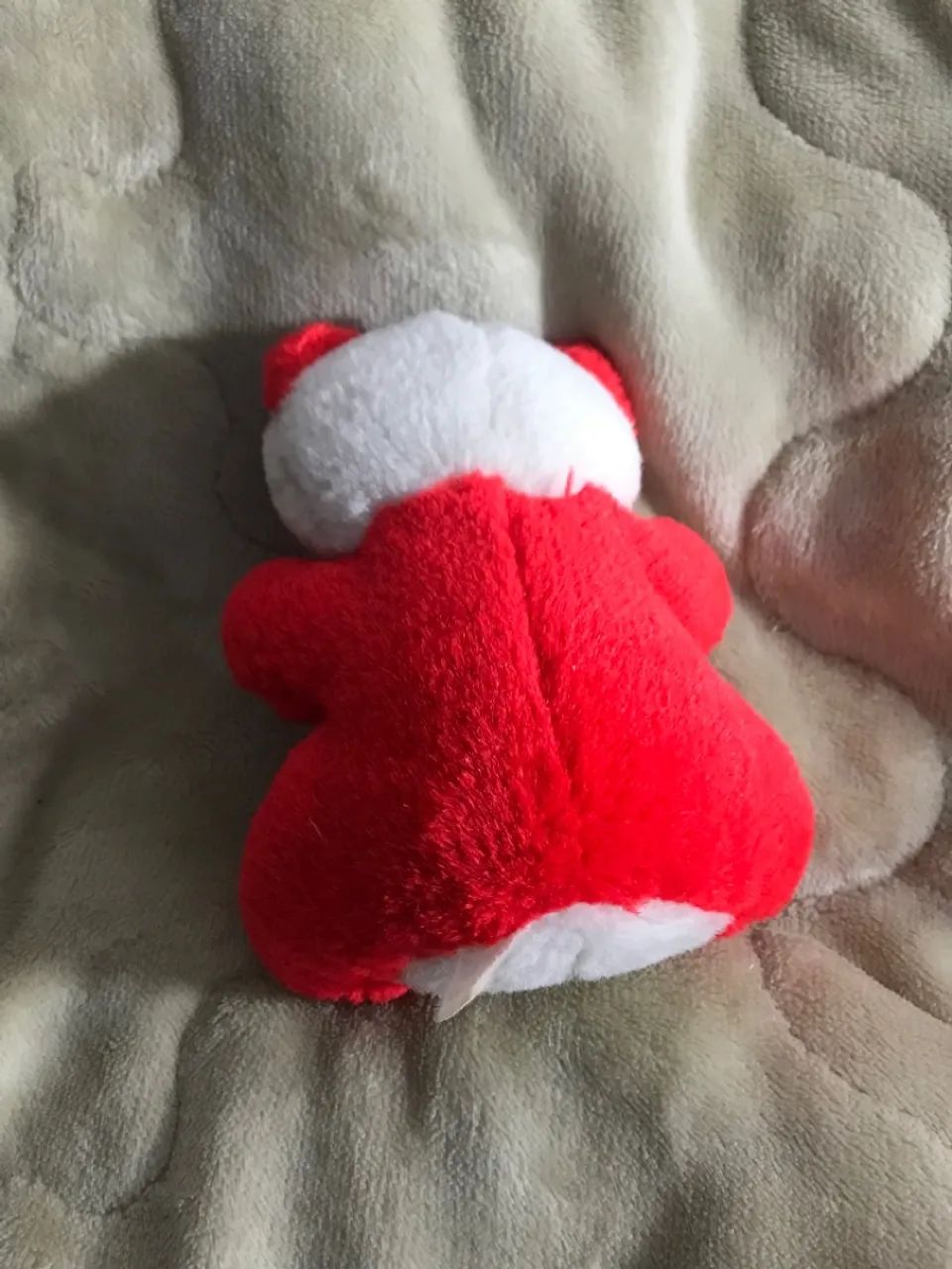 Urso vermelho - Foto 3