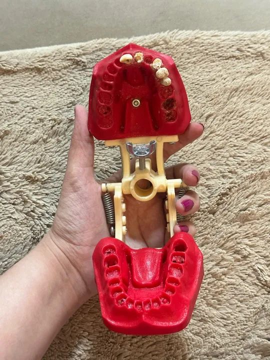 Manequim de Endodontia MOM - Foto 3