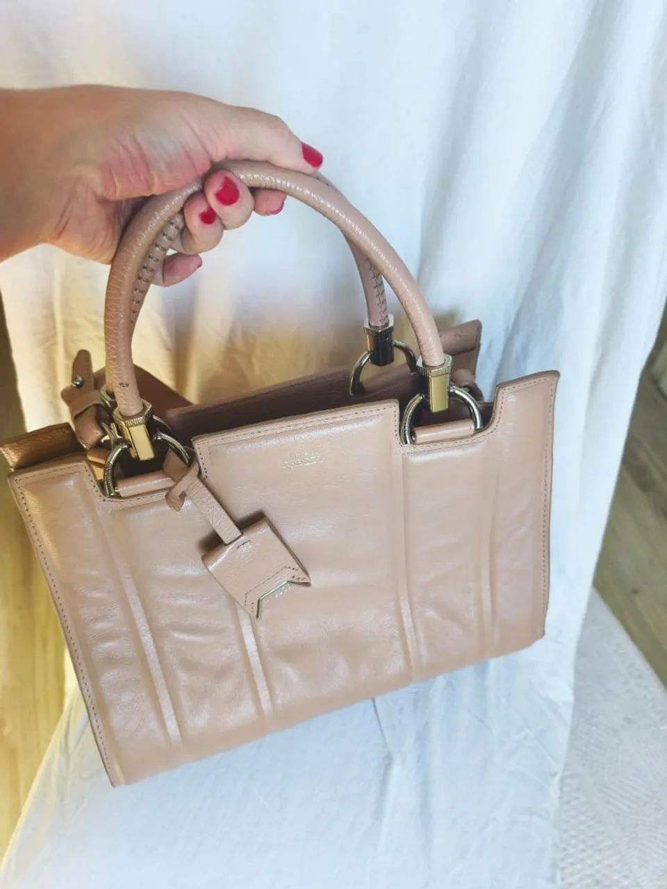Bolsa de Luxo Rose Arezzo