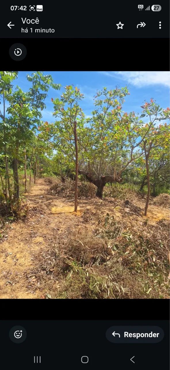 Terreno Praia de Bom Jesus  - Foto 2
