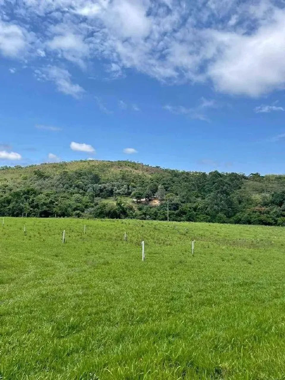 Lote para Investimento em Região Promissora Interior de SP
