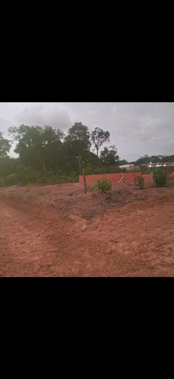 Alfaville fazendinha 