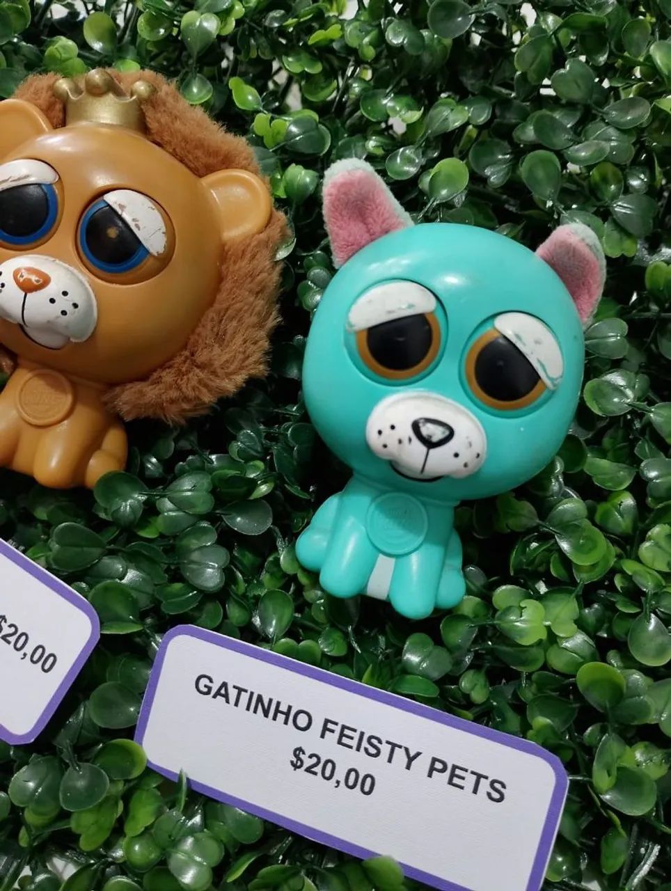 Miniatiras Feisty Petes - Foto 3