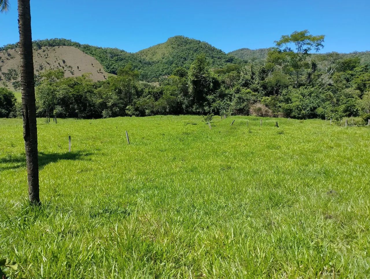FAZENDA CHAPADA DOS VEADEIROS - Foto 3