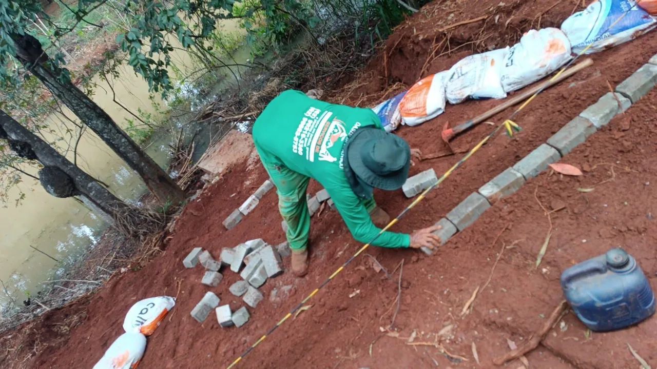 Manutenções em jardim podas de grama e plantios. - Foto 6
