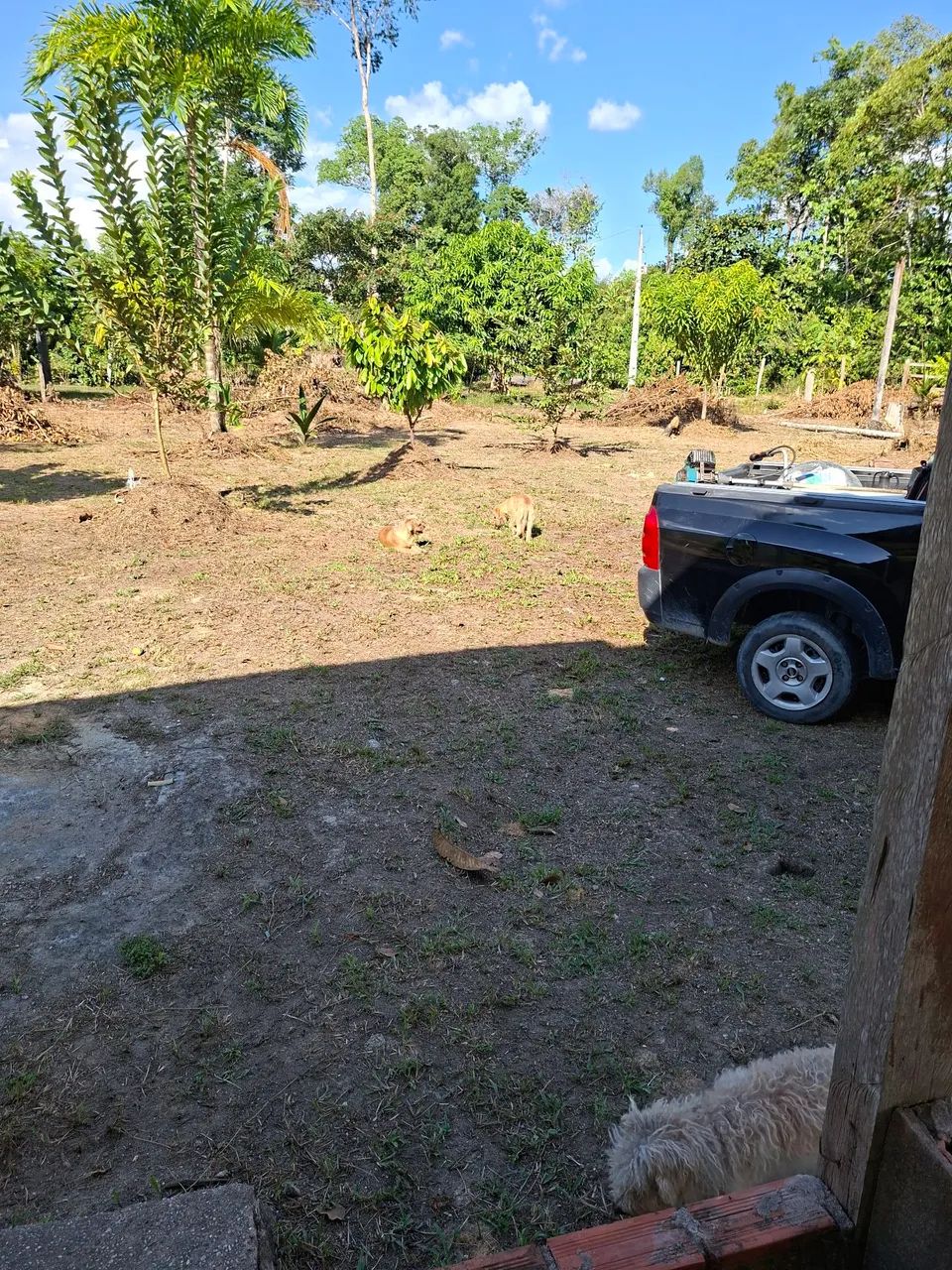 Lindo terreno pra sítio  - Foto 2