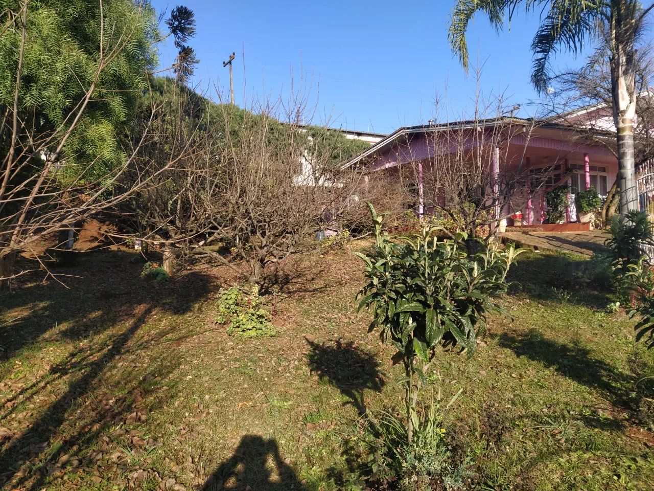Terreno no Sorgatto - Foto 4