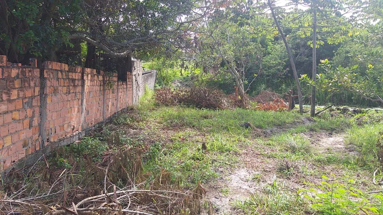 Terreno em monte gordo  - Foto 3