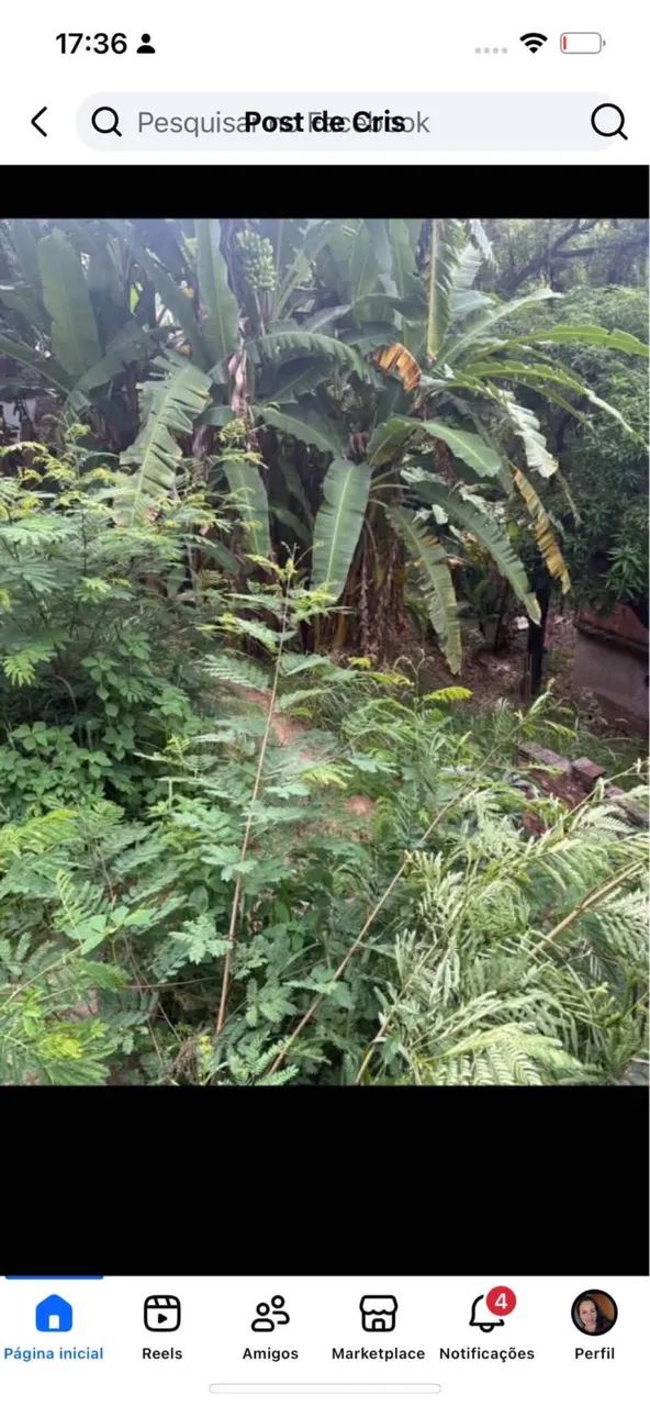 OPORTUNIDADE CASA COM QUINTAL 400m2 - Foto 2
