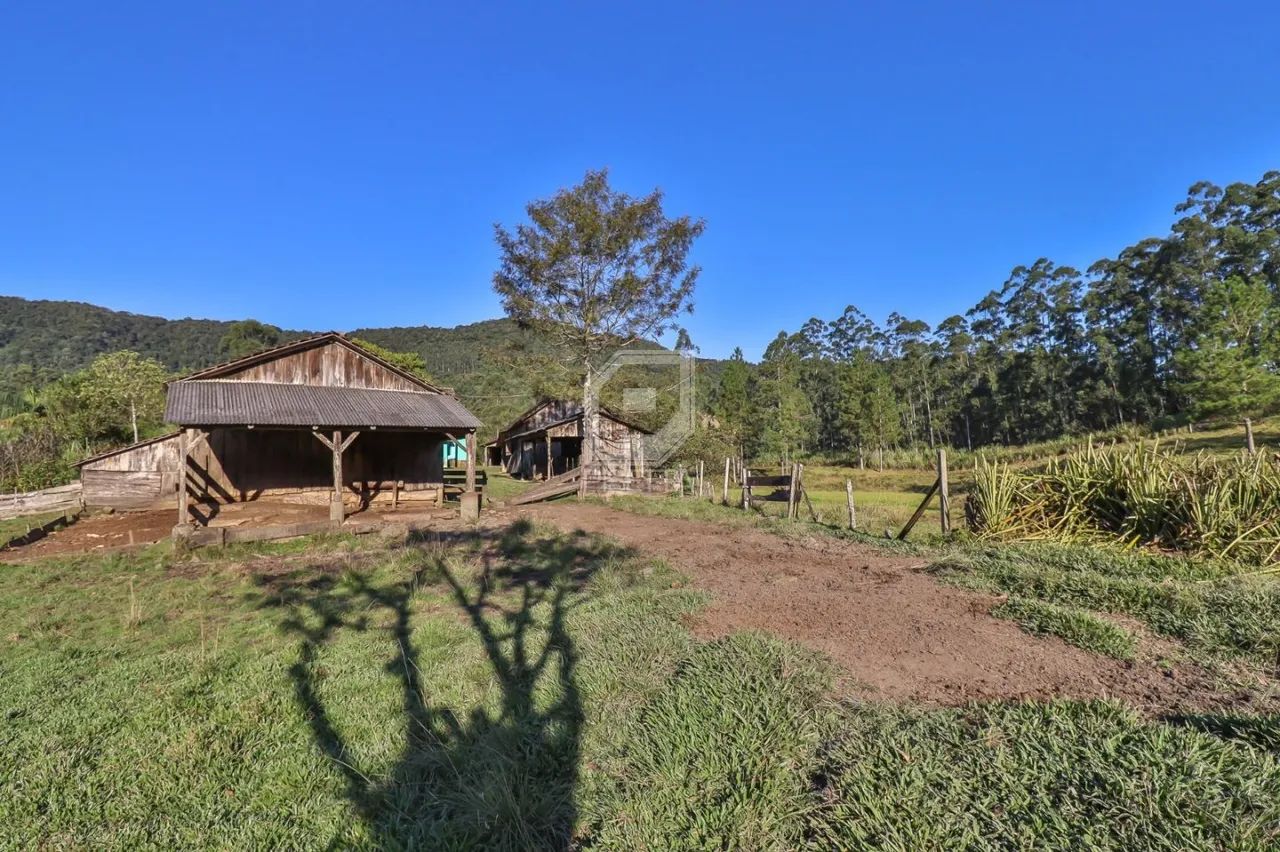 Sítio em Benedito Novo - Foto 2
