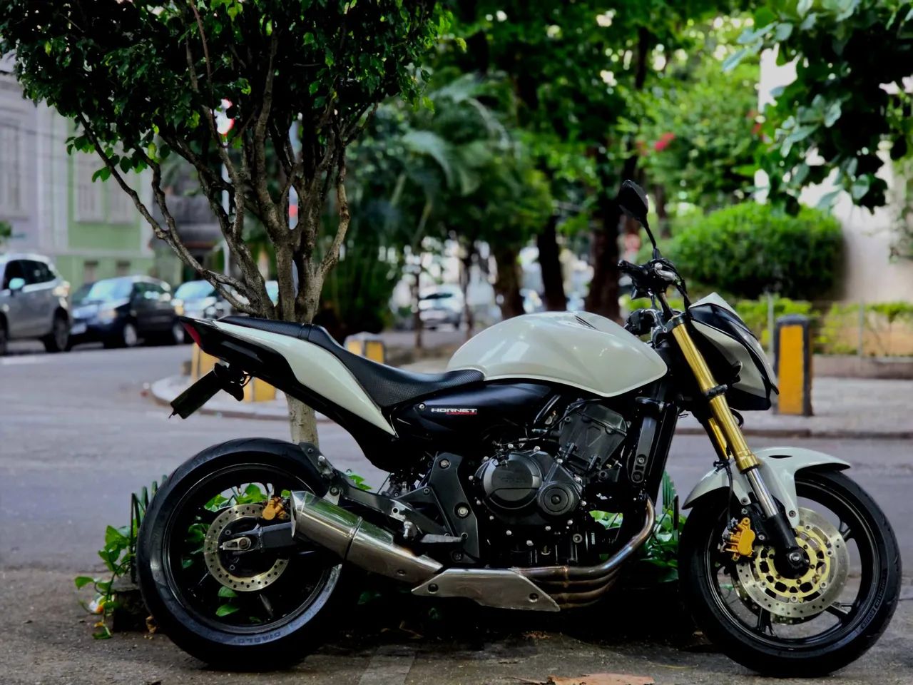 Hornet 2012
