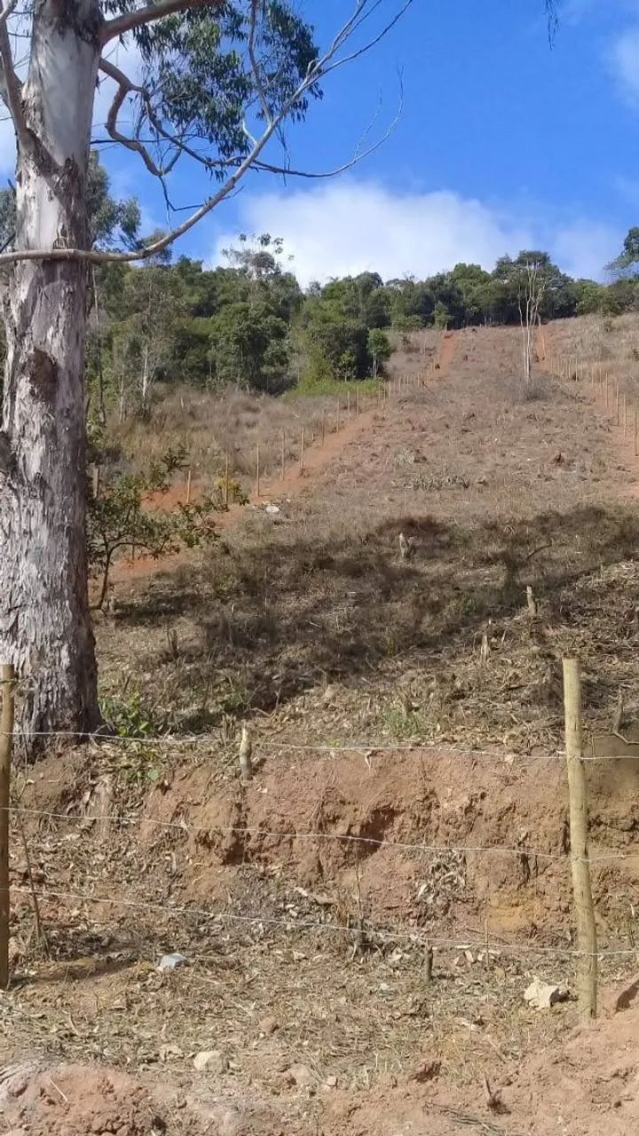 terreno 3050m² - Foto 3