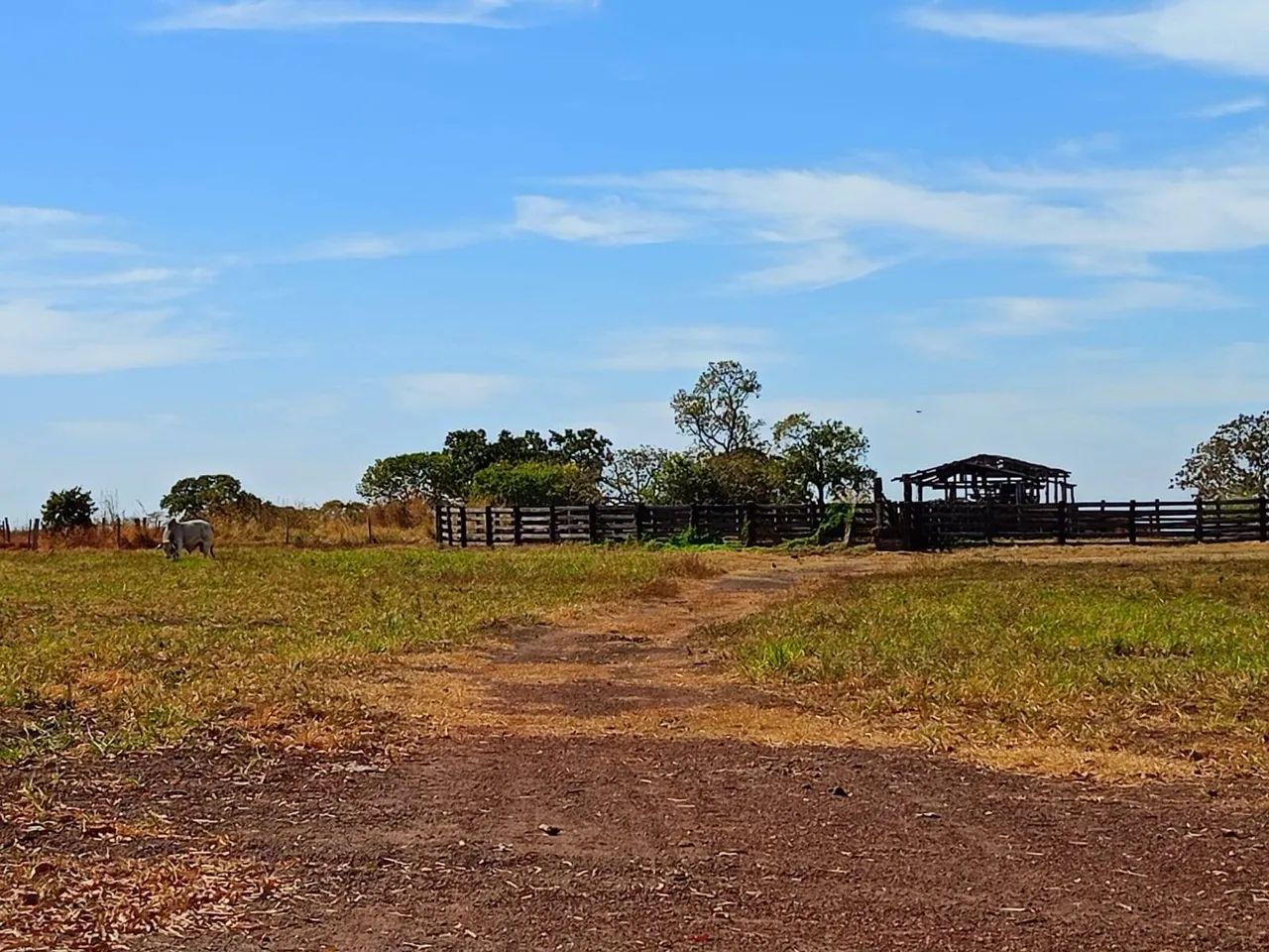 Fazenda Municipio de Jangada com 1.226 hectares
