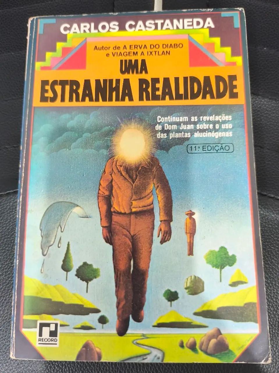Castaneda - Estranha realidade
