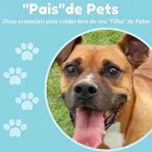 "Pais" de Pets