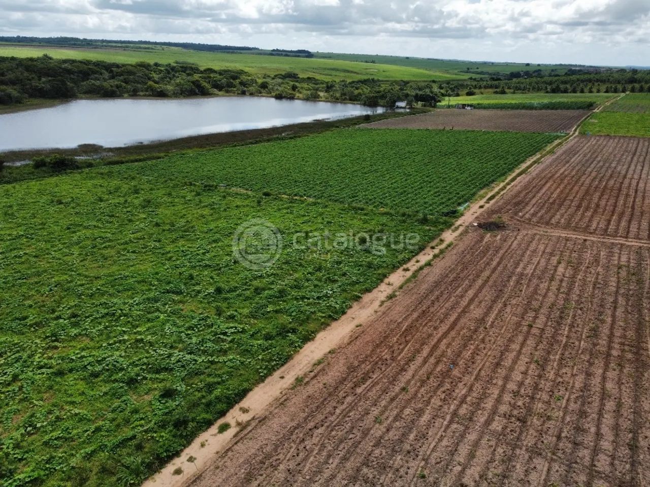 Fazenda 345 Hectares - Foto 2