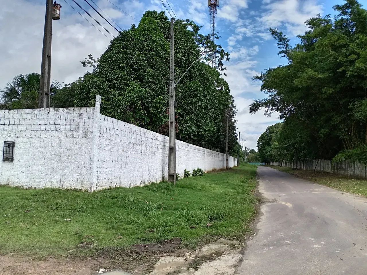 Terreno No Tarumã-Açu - Foto 2