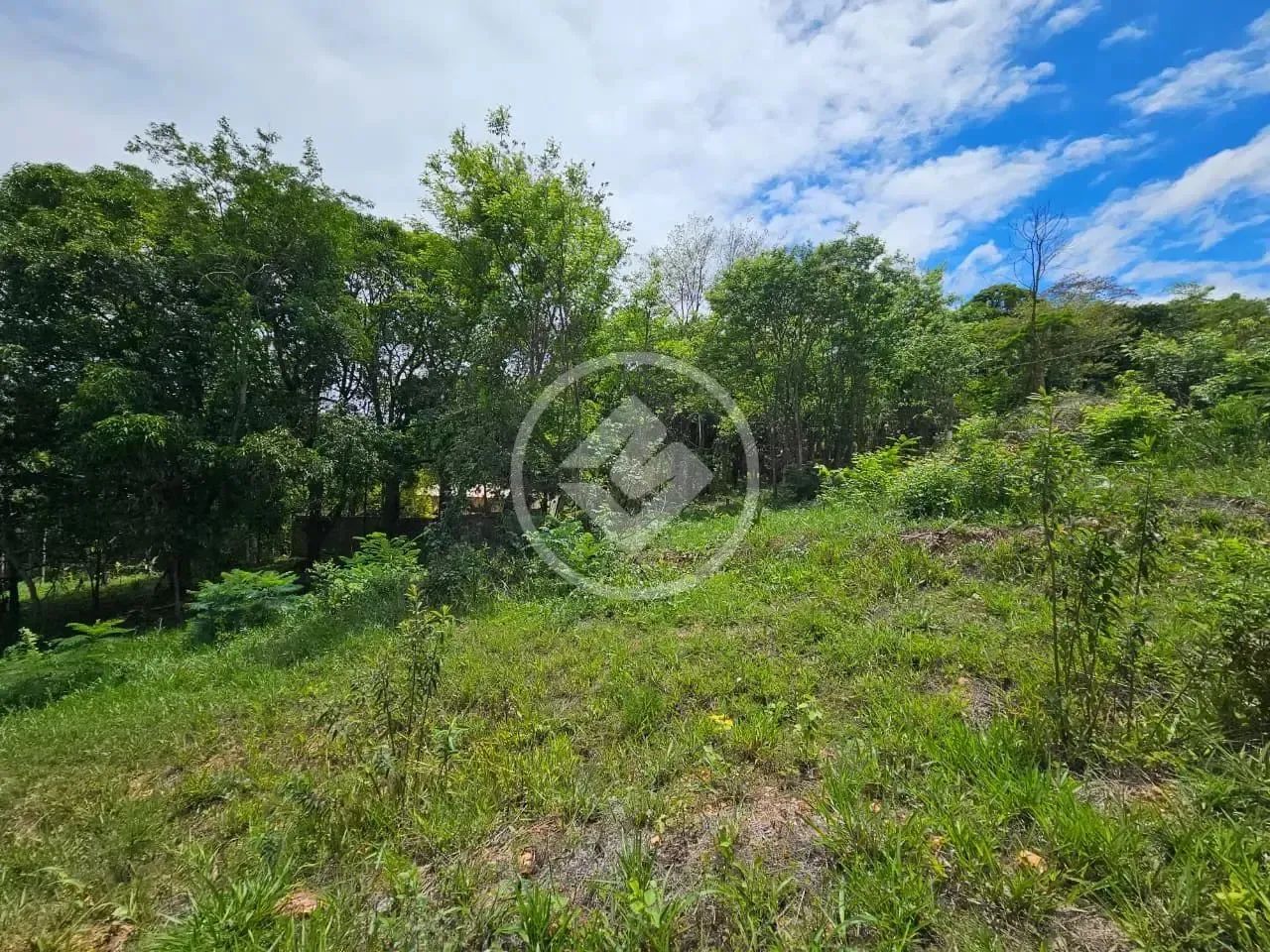 Lote Comercial Residencial Riviera codigo: 272046