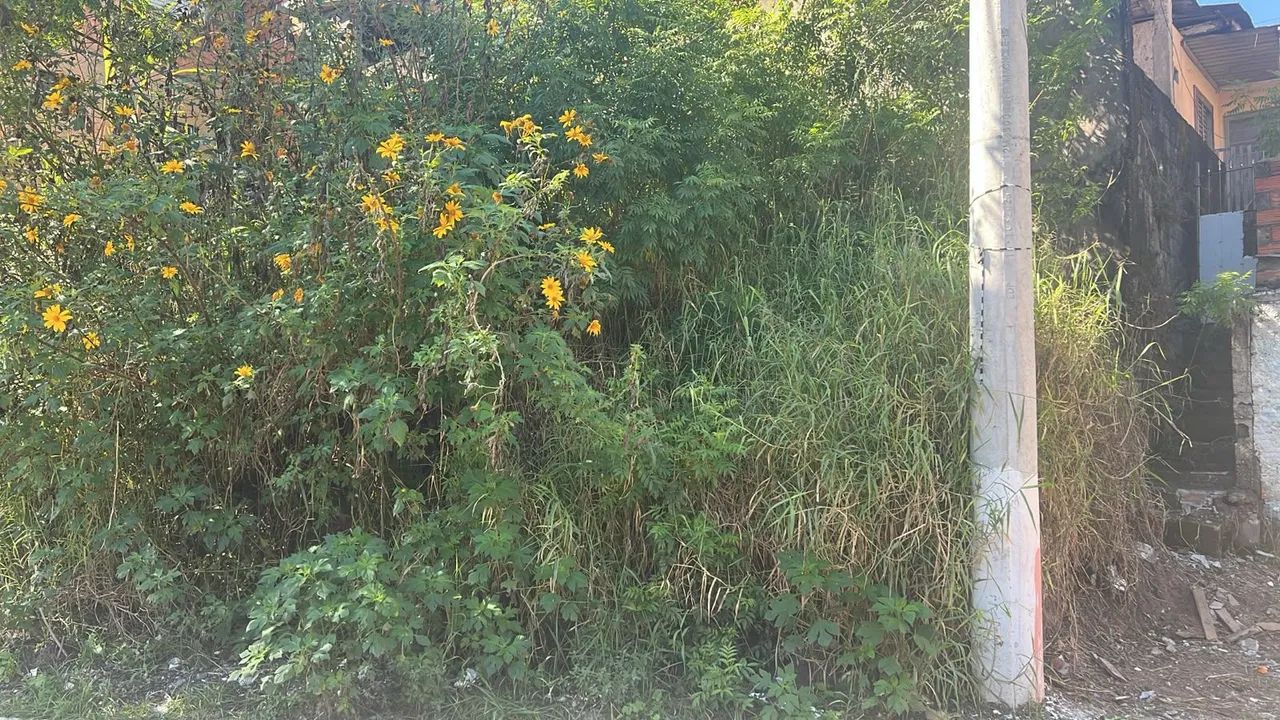 Terreno  - Foto 4