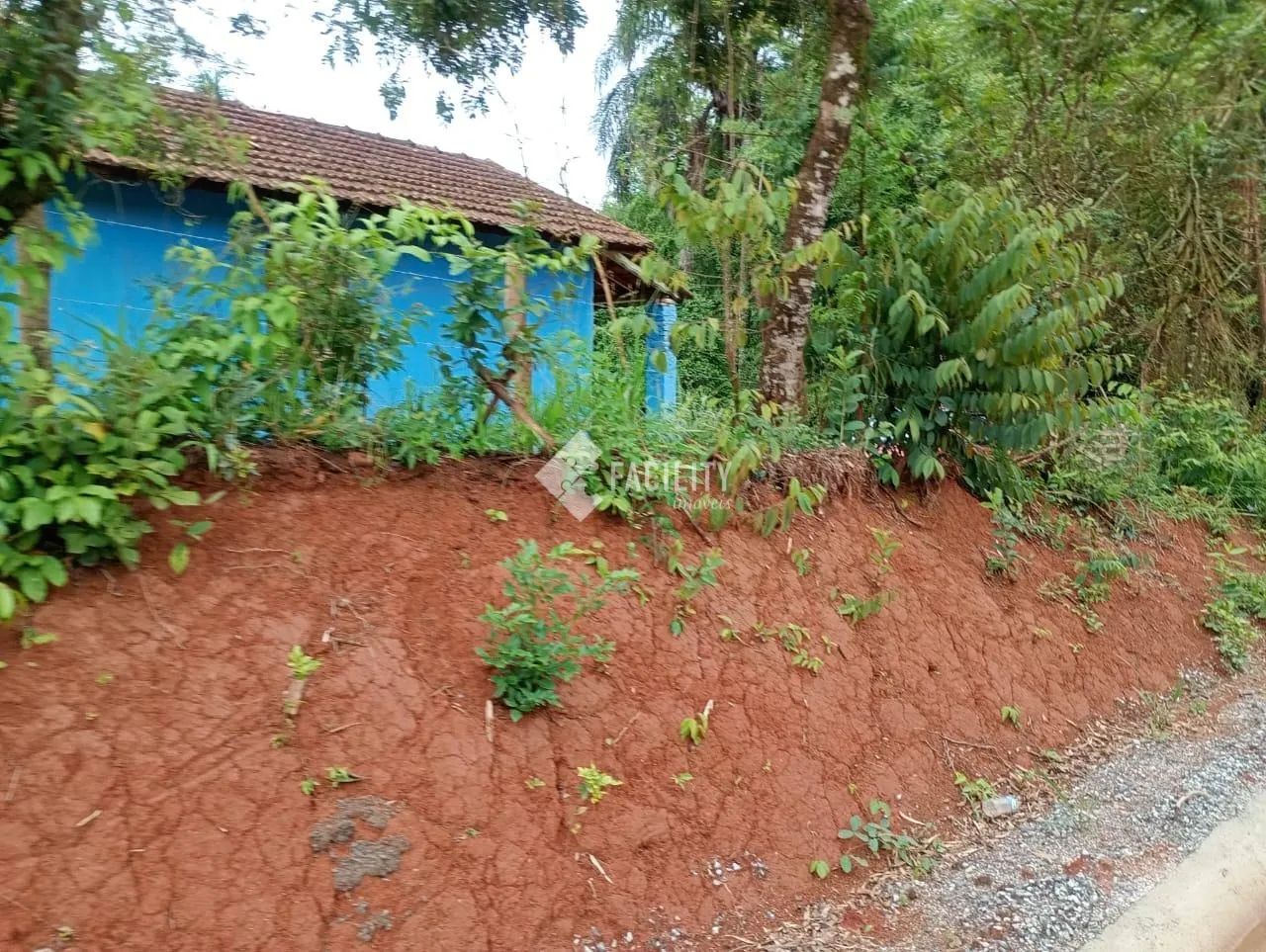 chácara - Zona Rural - Cambuí - Foto 2