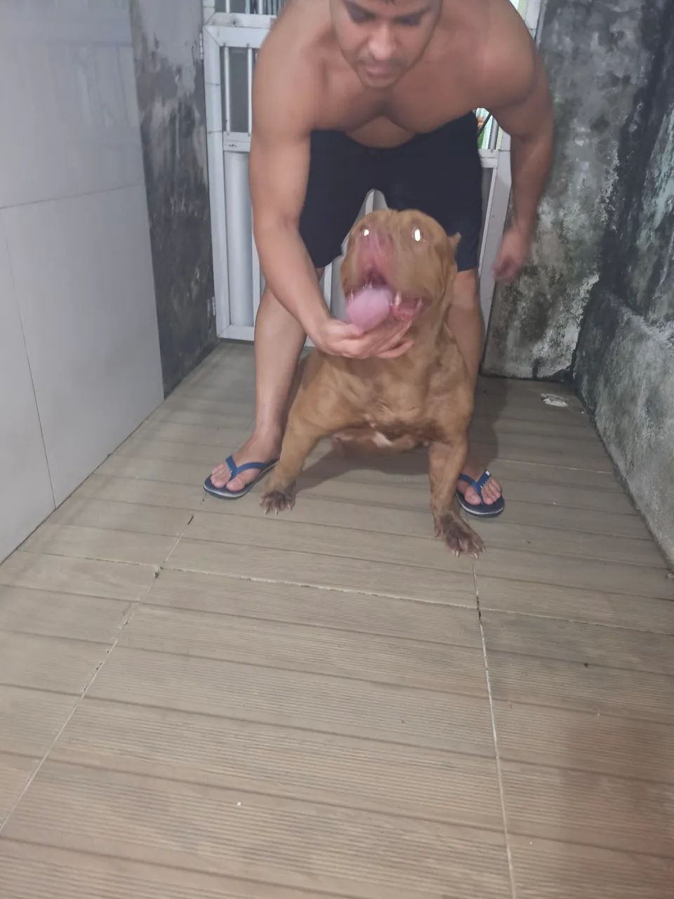 Pitmonster  - Foto 2