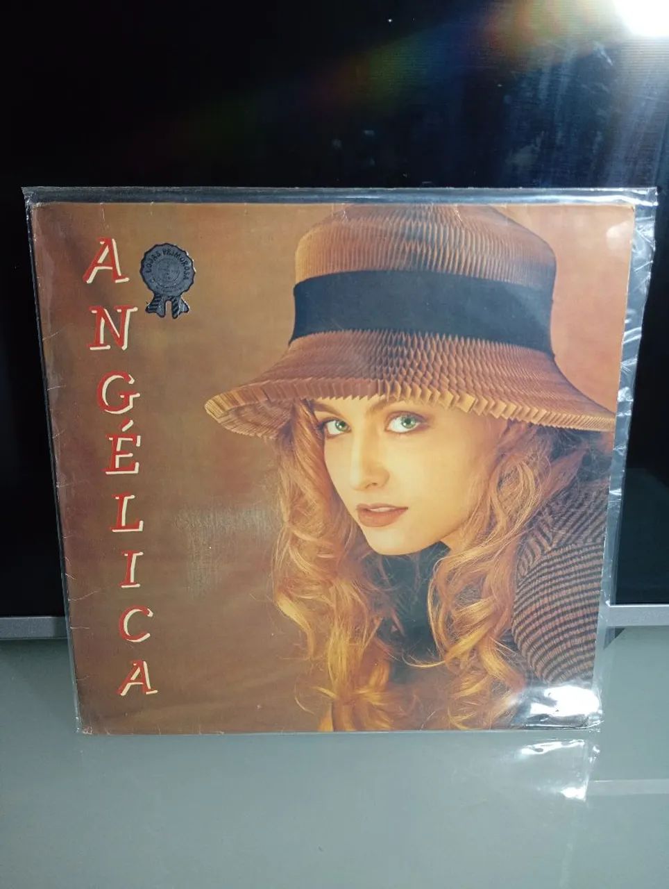 Qualquer LP Disco De Vinil Por 100 Reais 