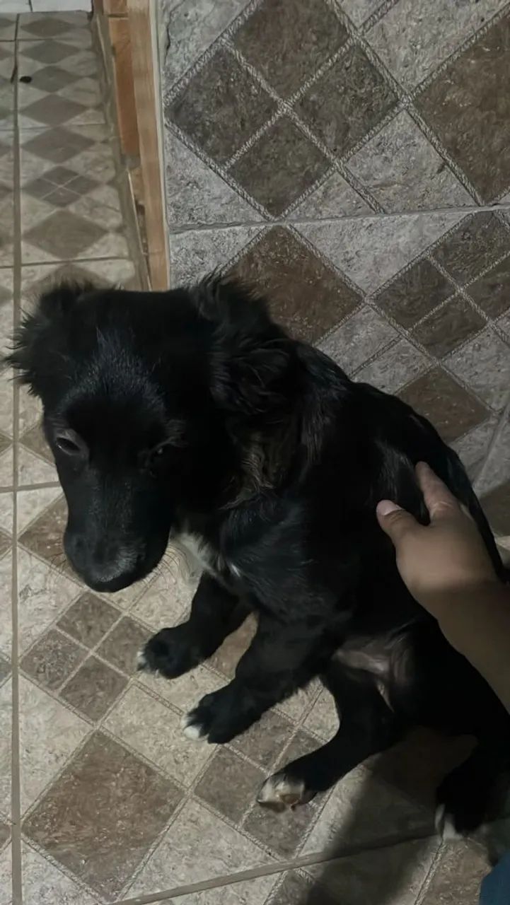 DOAÇÃO RESPONSÁVEL  - Foto 4