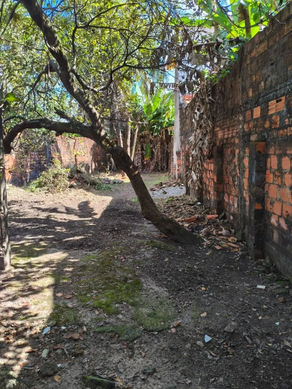 ALUGO CASA SAO CRISTOVAO - Foto 3
