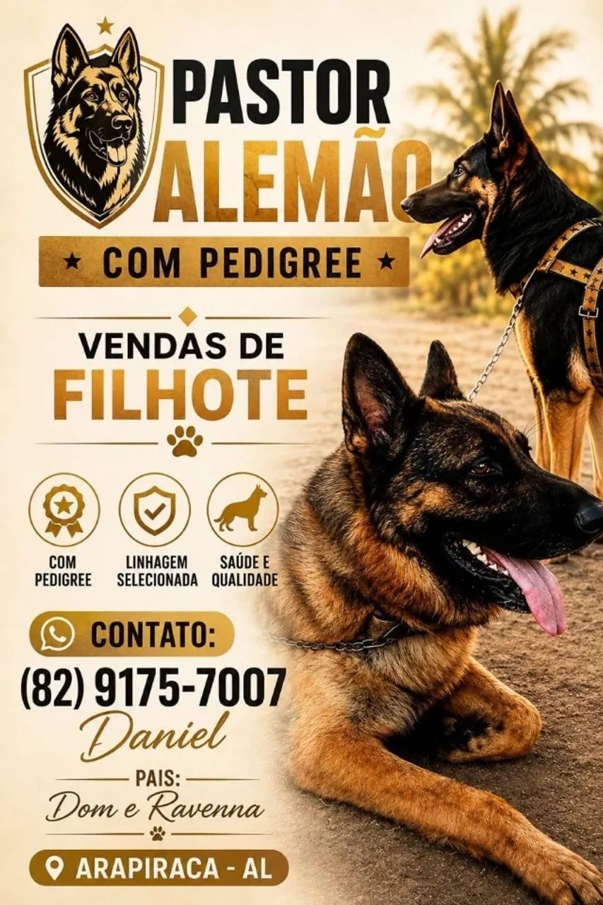 Filhotes de Pastor Alemão - Foto 2