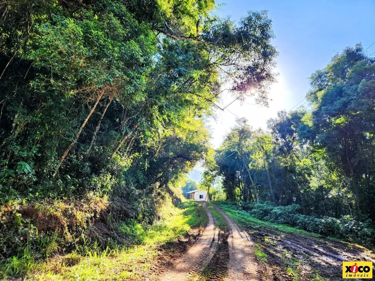 Sítio / Chácara para Venda em Nova Petrópolis, Linha Riachuelo - Foto 2