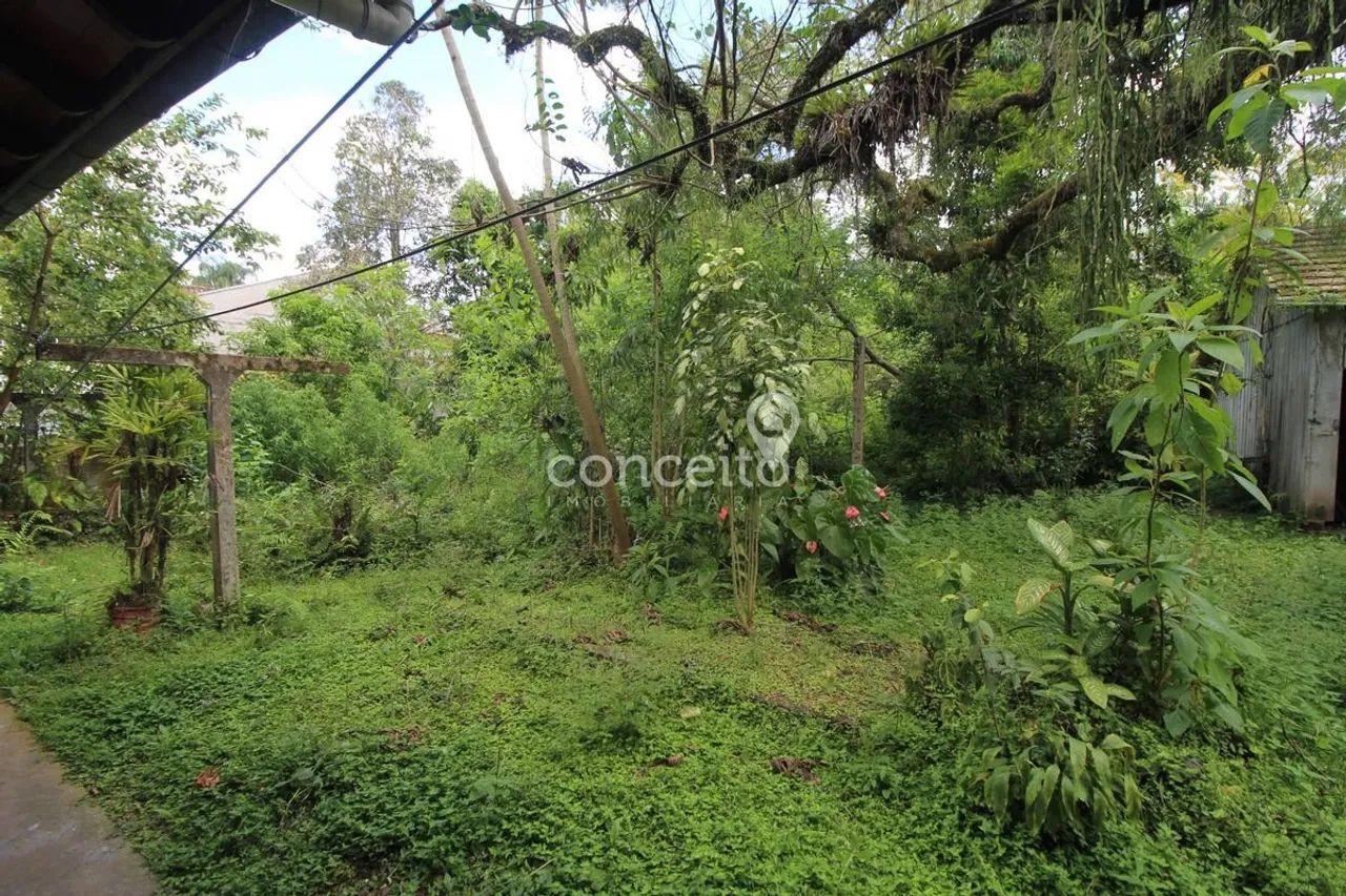 Terreno Próximo a Vila Germânica com 7.400 m²! - Foto 4
