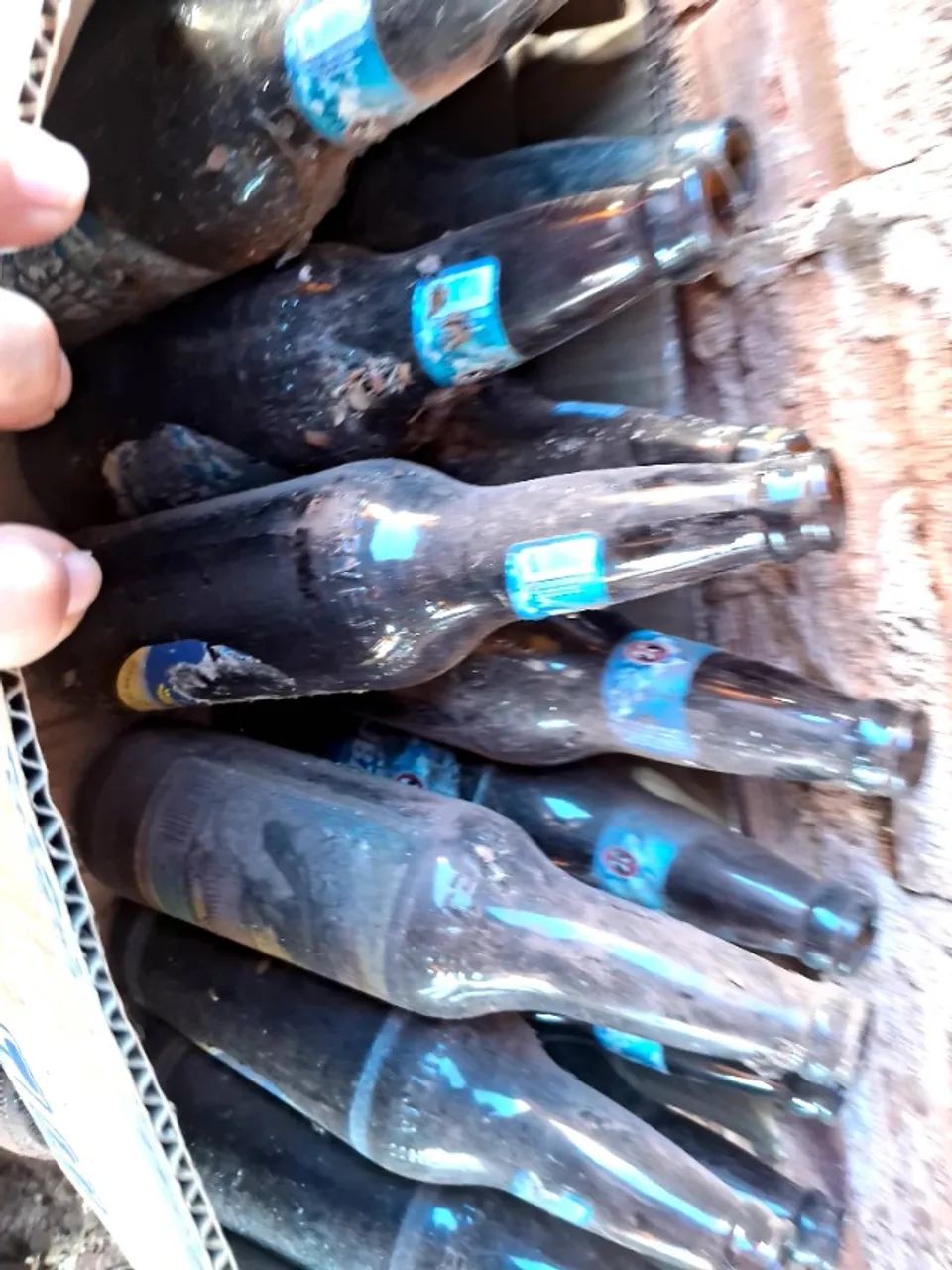Doação 