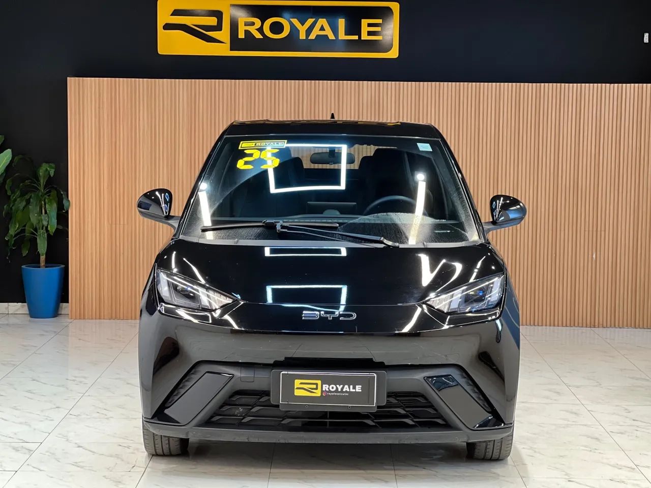 BYD Dolphin Mini (Elétrico) 2025