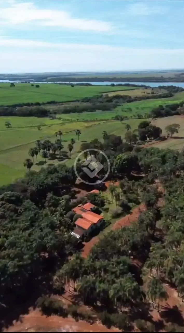 FAZENDA- ITUMBIARA - GO codigo: 382428 - Foto 4