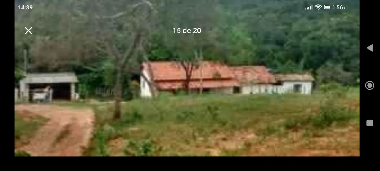 Sítio conceição do Pará mg
