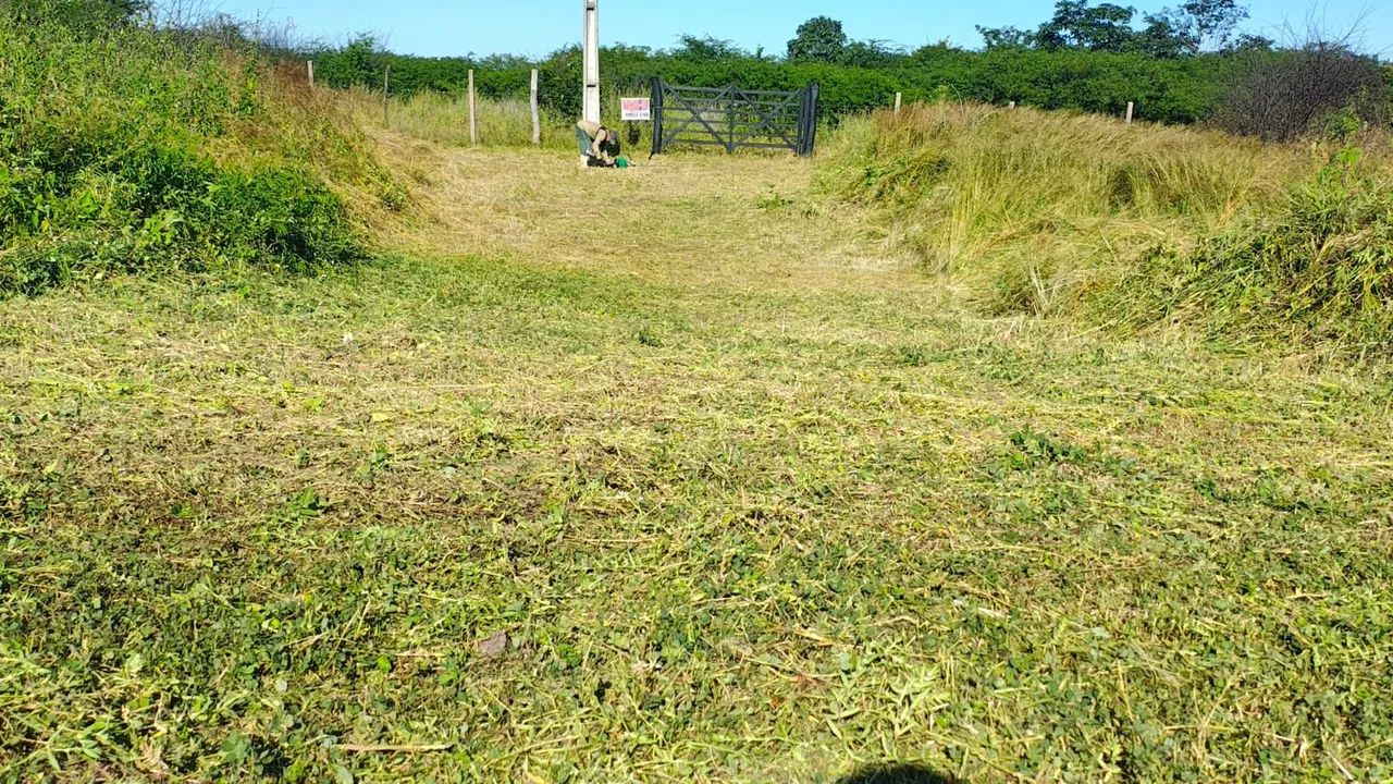 Propriedade beira de pista na BR 230 - Foto 4