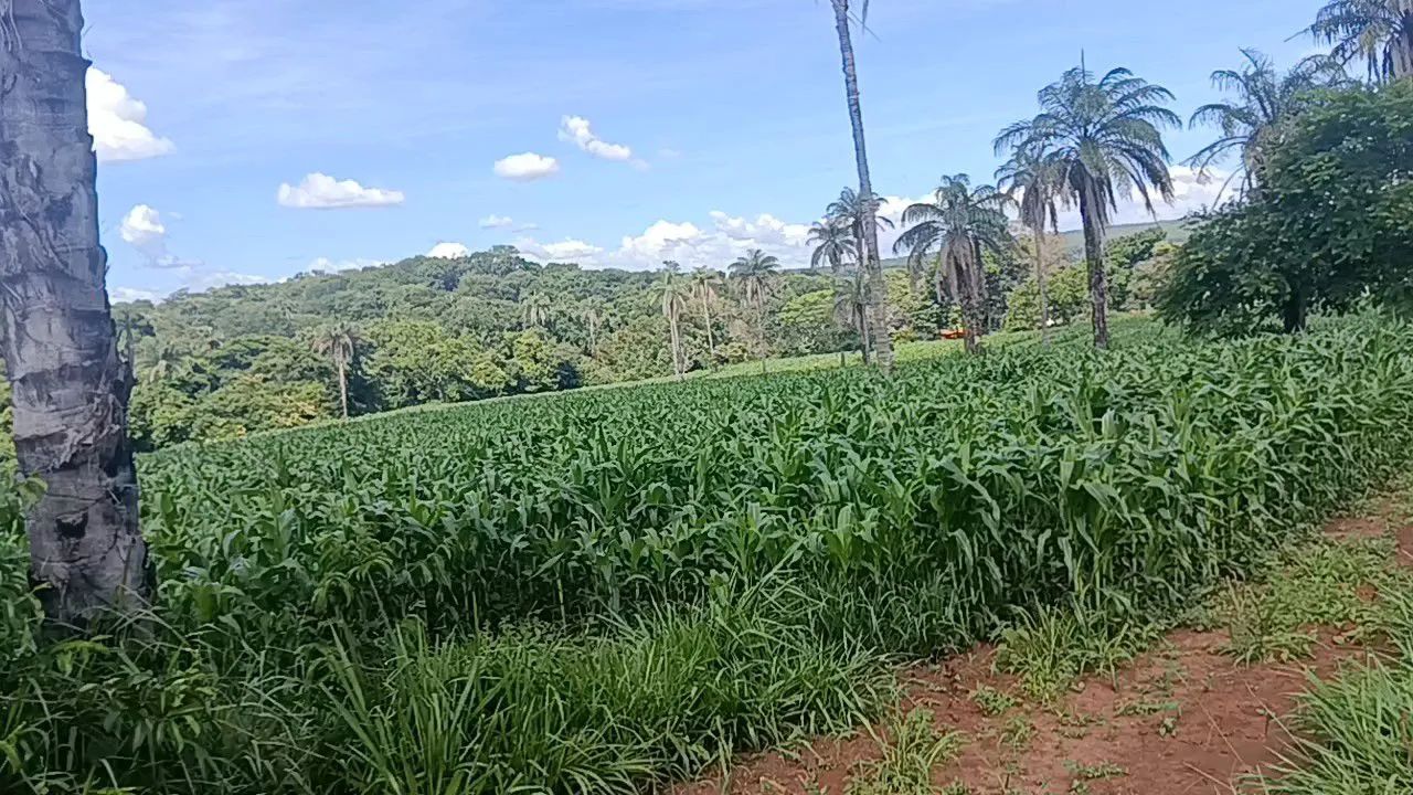 Foto - Montes Claros - São Judas Tadeu