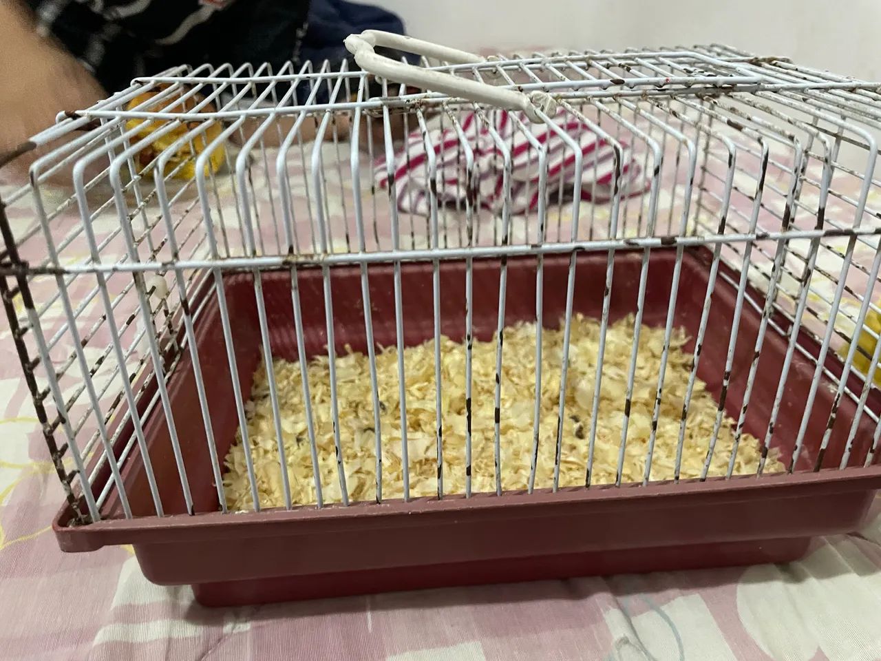 Gaiola pra hamster 65048997869953123