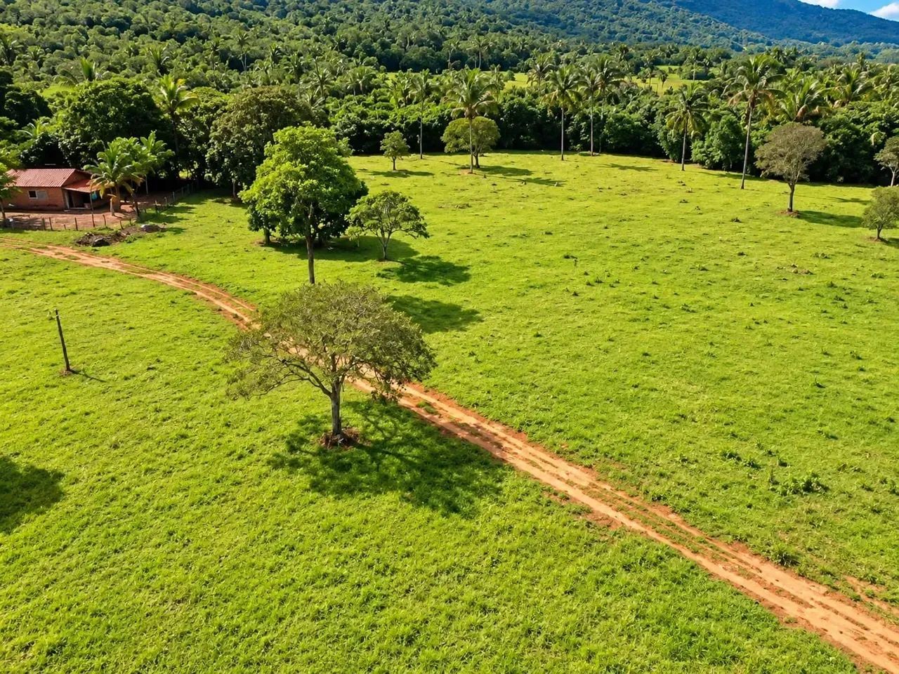 Fazenda a venda em Palmas - Tocantins!!!