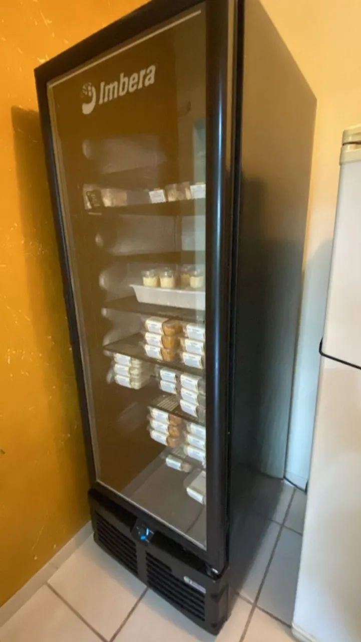 Freezer Expositor Vertical Imbera 576L 220V - Porta de Vidro - Foto 2