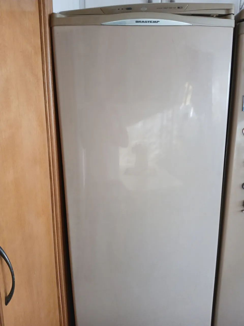 Freezer Frost Free 260 litros Brastemp acompanha um filtro Hidrofiltro como brinde
