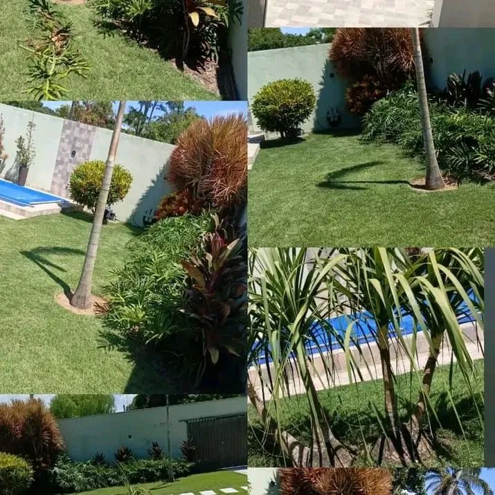 JARDINAGEM E MANUTENÇÃO EM ÁREAS VERDES